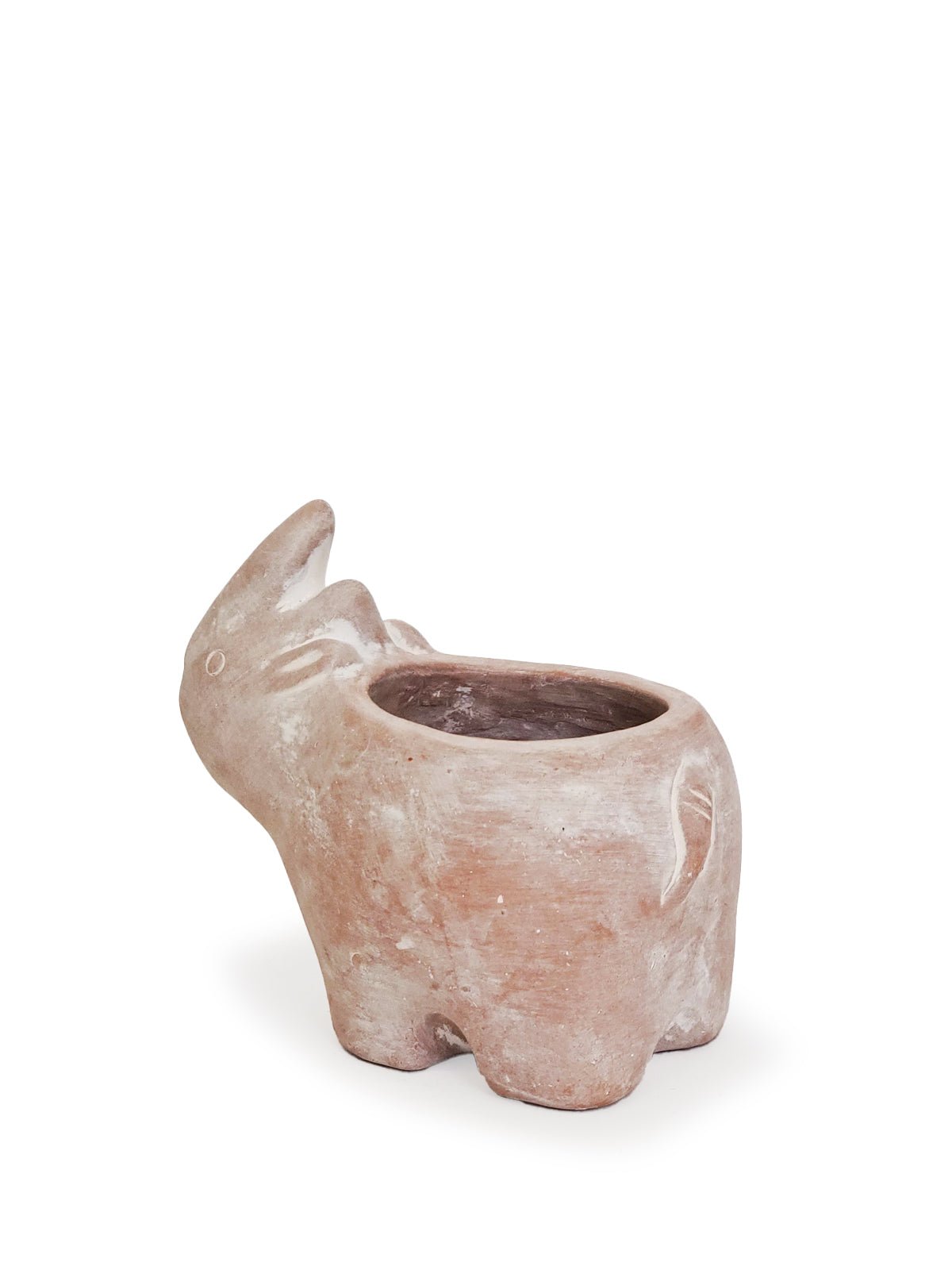 Terracotta Pot - Rhino - Terra Clara