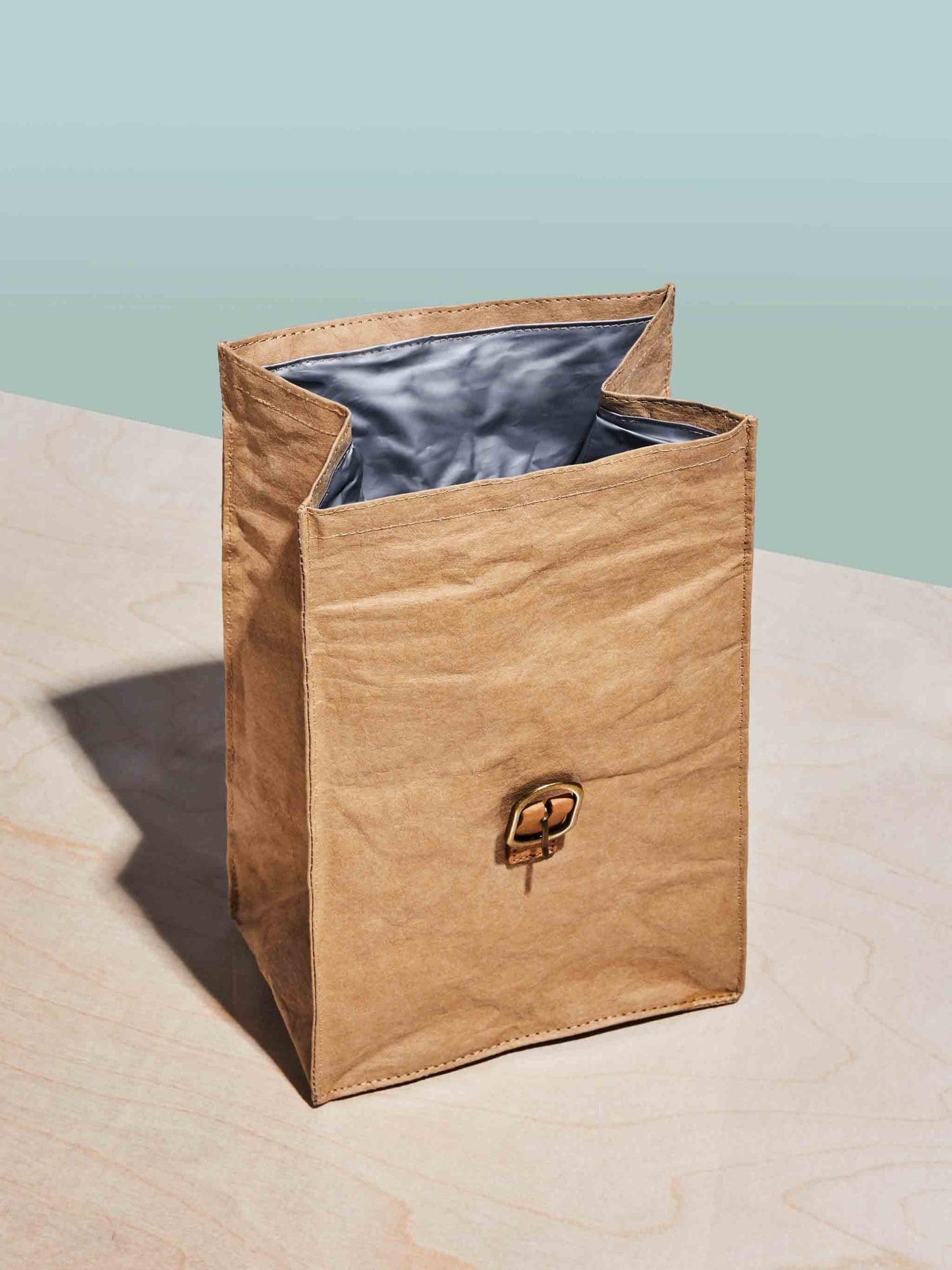 Paper Bag Lunch Cooler - Terra Clara