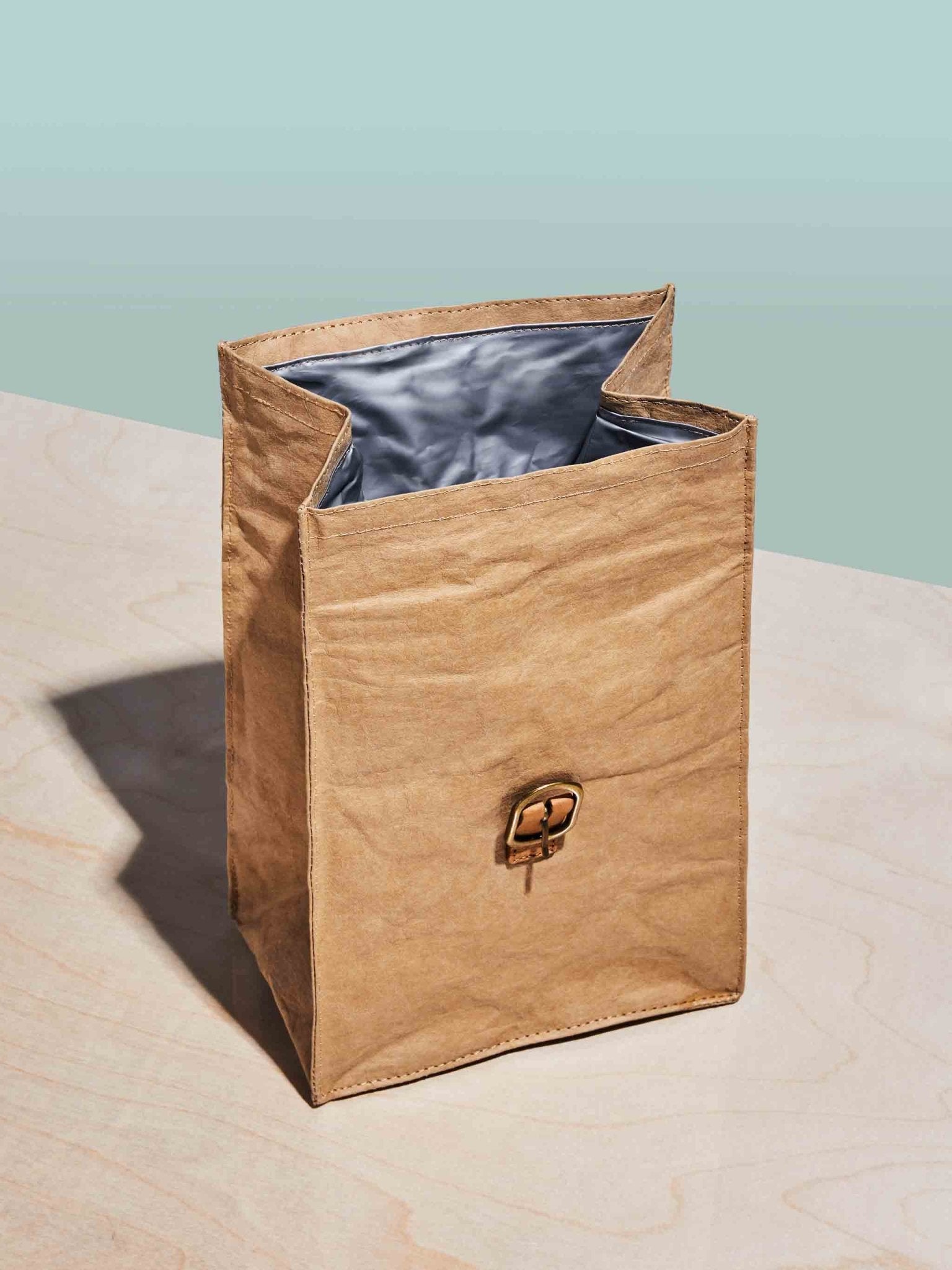 Paper Bag Lunch Cooler - Terra Clara