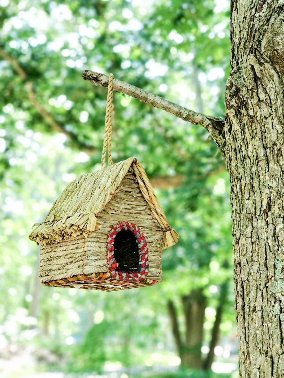 Seagrass & Sari Birdhouse - Cabin - Terra Clara